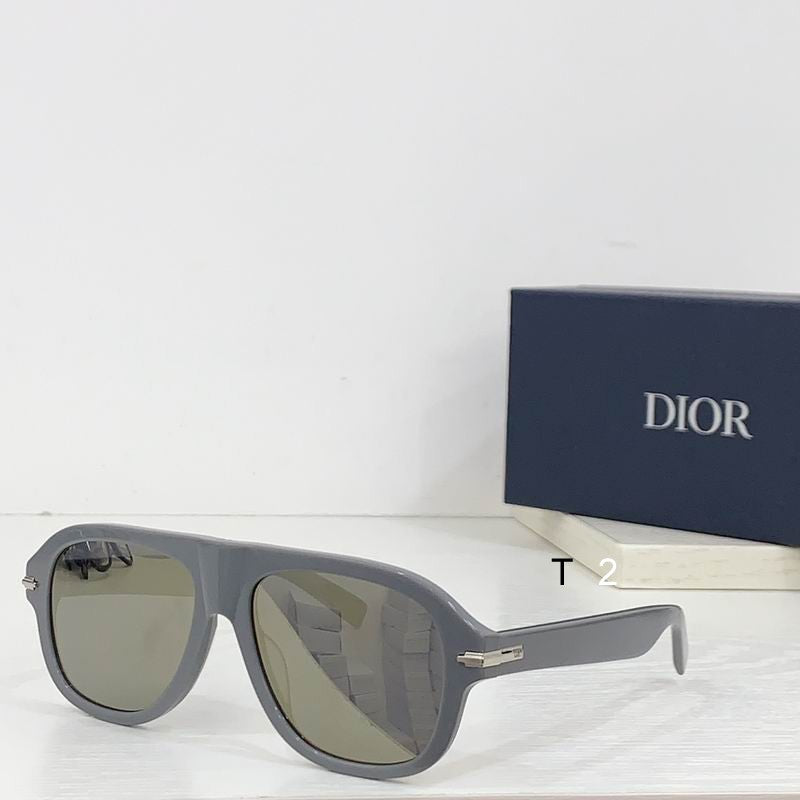 CD Sunglasses Modern Aviator