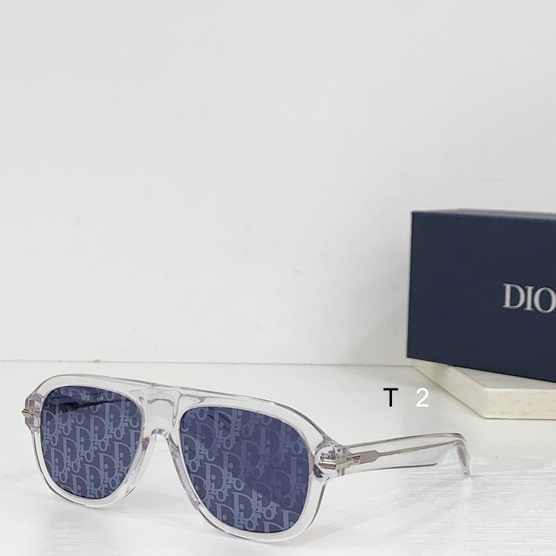 CD Sunglasses Modern Aviator