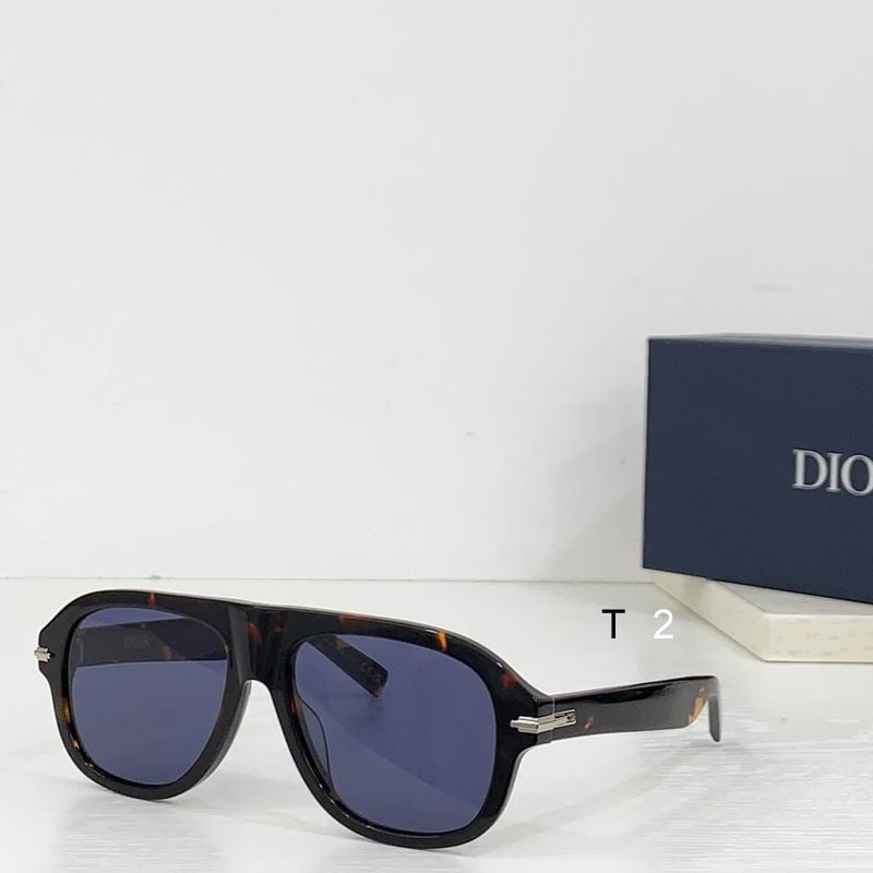 CD Sunglasses Modern Aviator