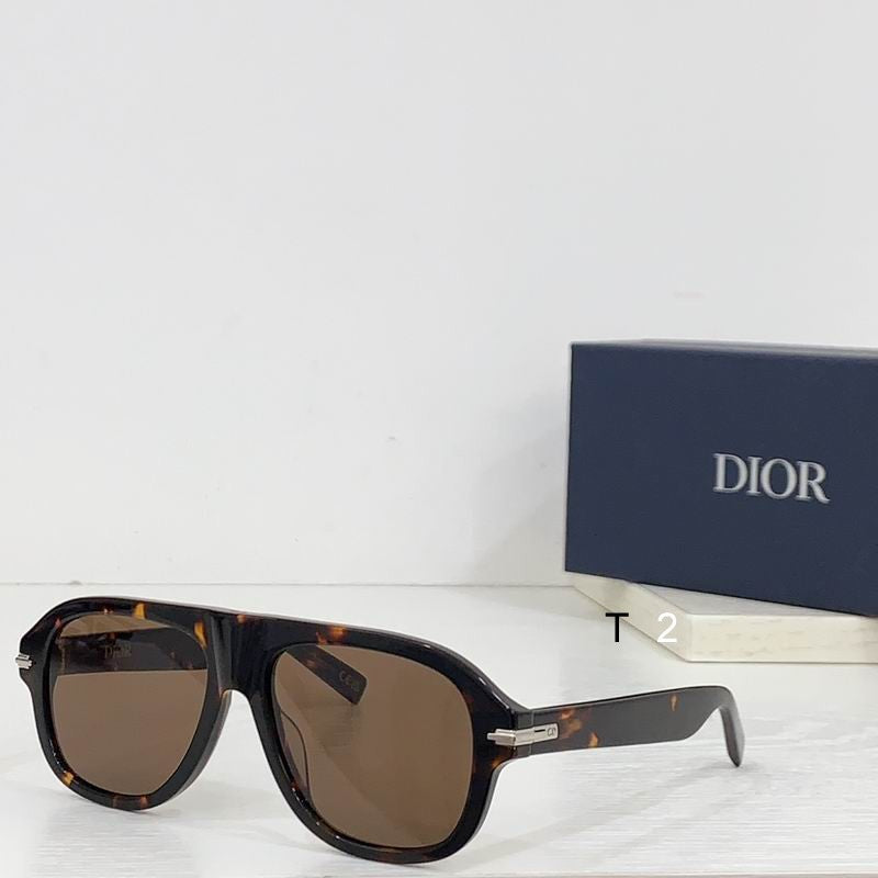 CD Sunglasses Modern Aviator