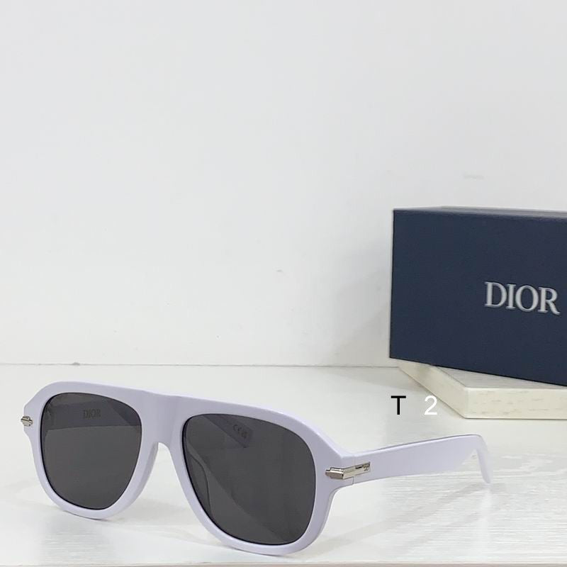 CD Sunglasses Modern Aviator