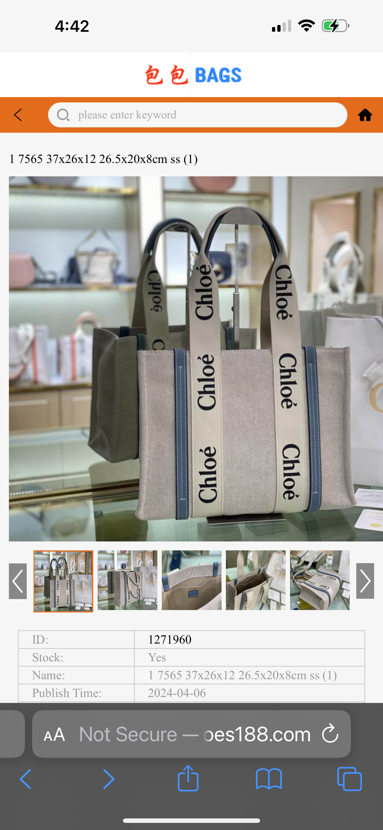 ChloE Blue Tote