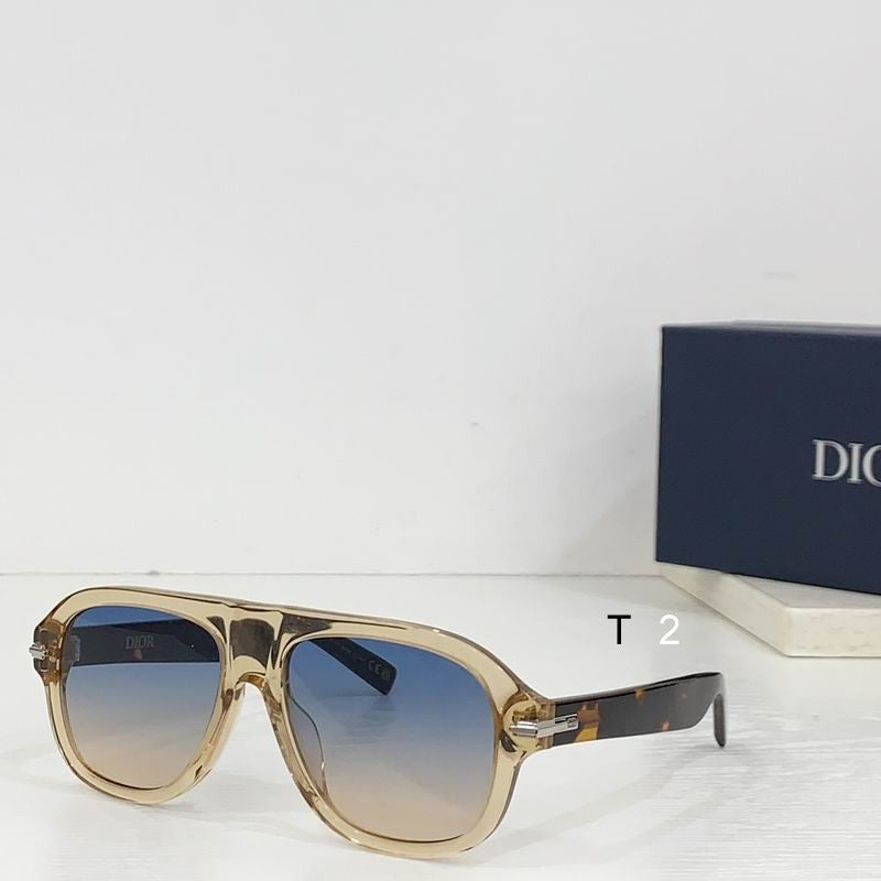 CD Sunglasses Modern Aviator